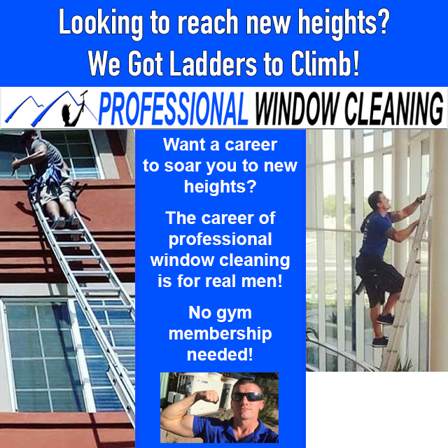 Window Cleaning Jobs