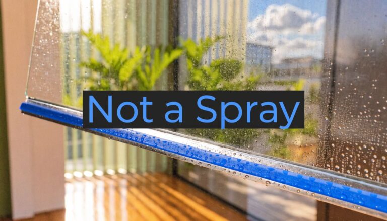 The Ultimate Substitute for Windex is Not a Spray
